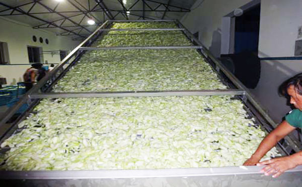 果脯烘干机 果脯烘干机