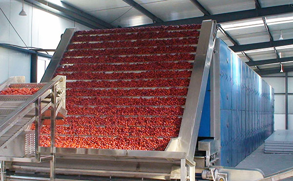 罗汉果烘干机 罗汉果烘干机