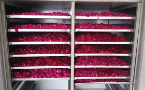 玫瑰花烘干机